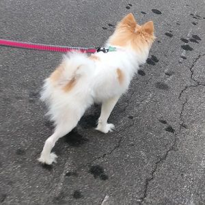 Meet your Posher, Mayra